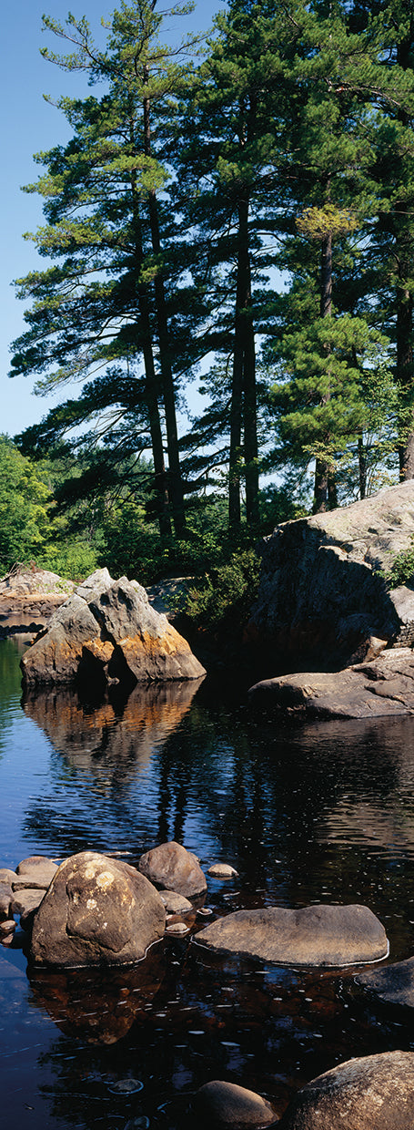 Rocas en el río Moose Lienzo