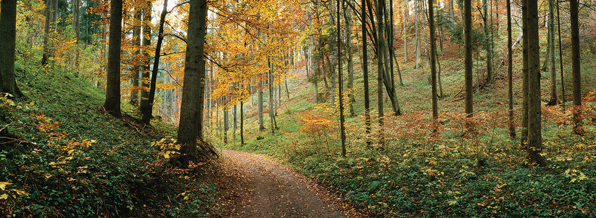 Baden-Wurttemberg Road