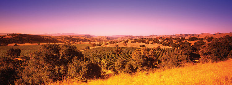 Sol dorado sobre el valle de Santa Ynez Lienzo