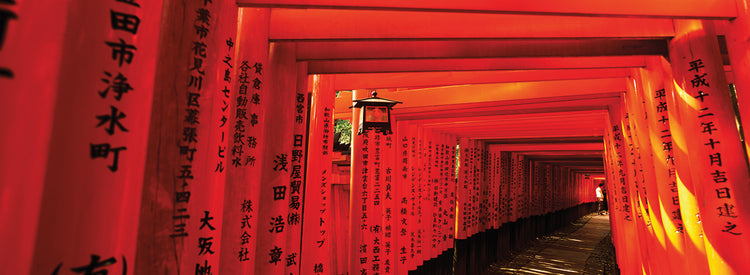 Santuario Fushimi Inari Lienzo