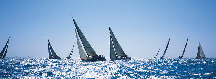 Semana de la carrera de Key West Lienzo