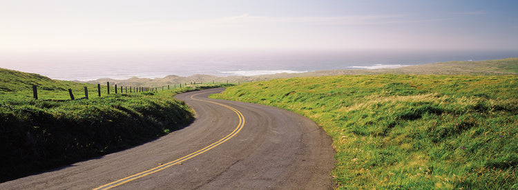 Camino a lo largo de la costa de Point Reyes Lienzo