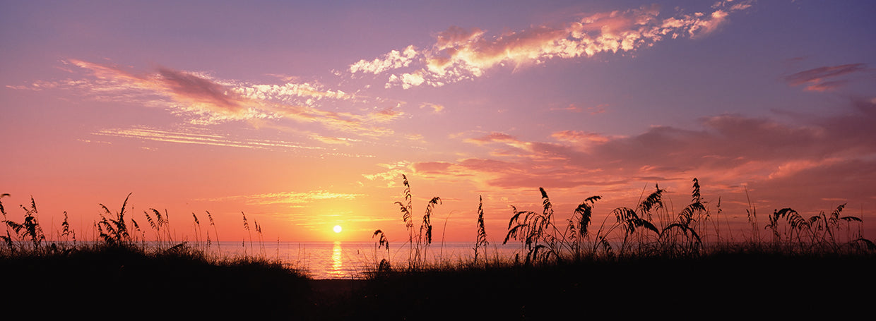 Silhouettes on Venice Beach