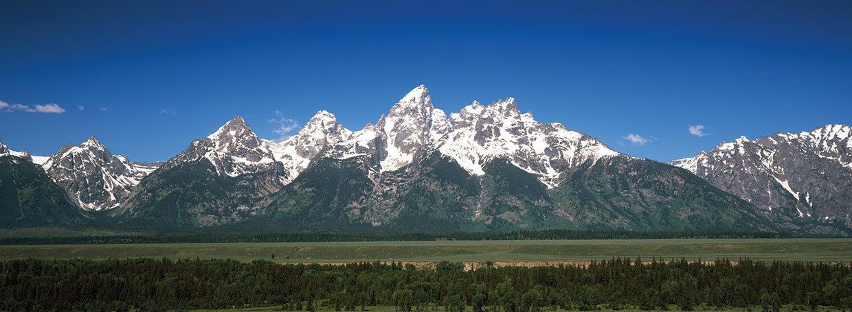 Vistas de participación de Teton Point Lienzo