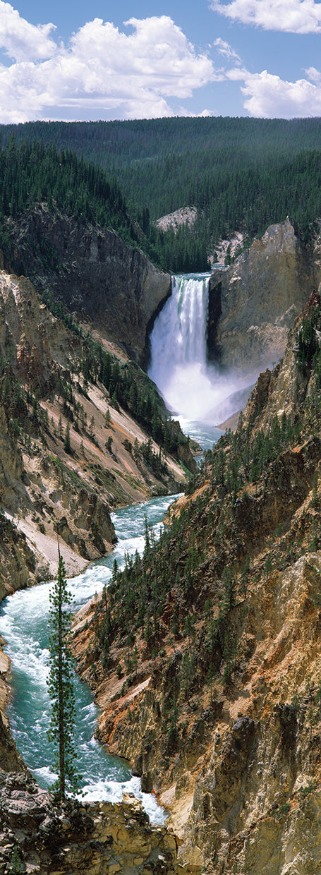 Over Artist Point in color:Yellowstone