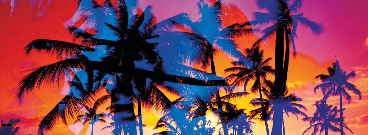 Neon Sunset and Palms in Oahu