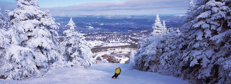 Esquiar en Stratton Mountain Resort Lienzo