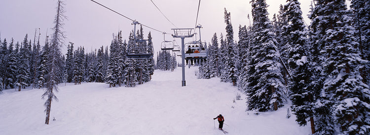 Telesilla en Keystone Lienzo