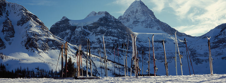 Bastones de esquí en Mt Assiniboine Lienzo