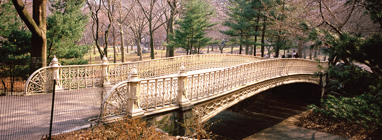 Puente de arco en Central Park Lienzo