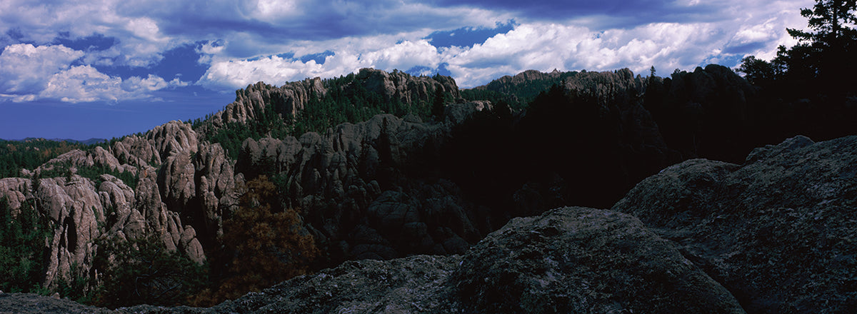 Black Hills National Forest