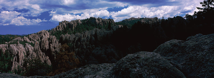 Bosque Nacional Black Hills Lienzo