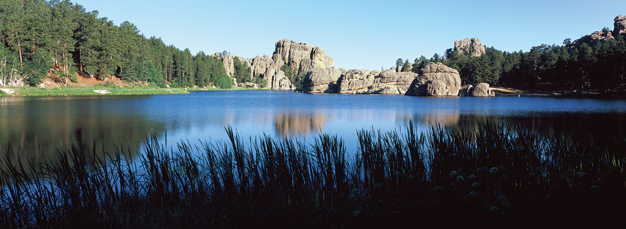 Árboles alrededor del lago Sylvan Lienzo
