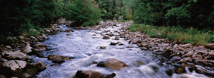 Rama oeste del río Ausable Lienzo