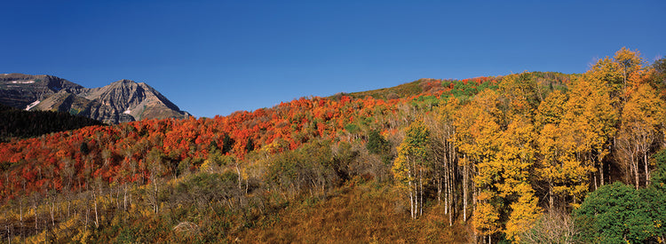 Wasatch Mountains Landscape