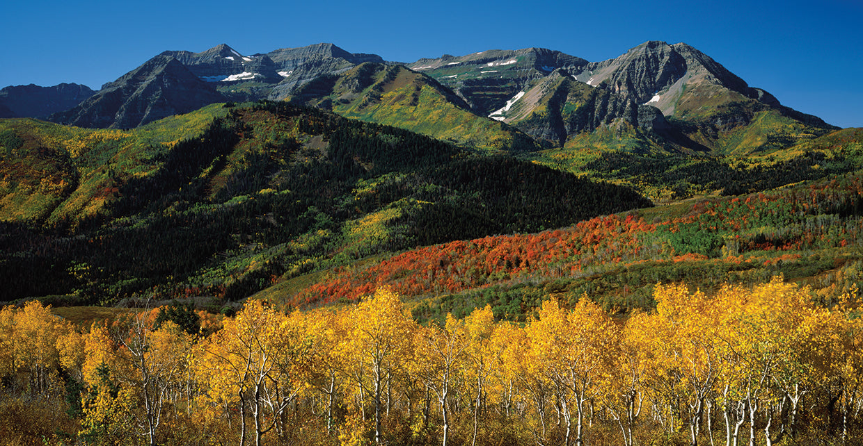 Sunrift Gorge Colors