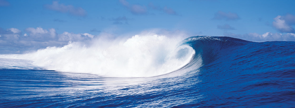 Grandes olas, Tahití Lienzo