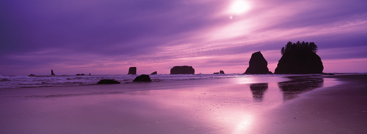 Sea Stacks at Sunset, Second Beach