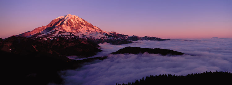 Mount Rainier in Sea of Clouds