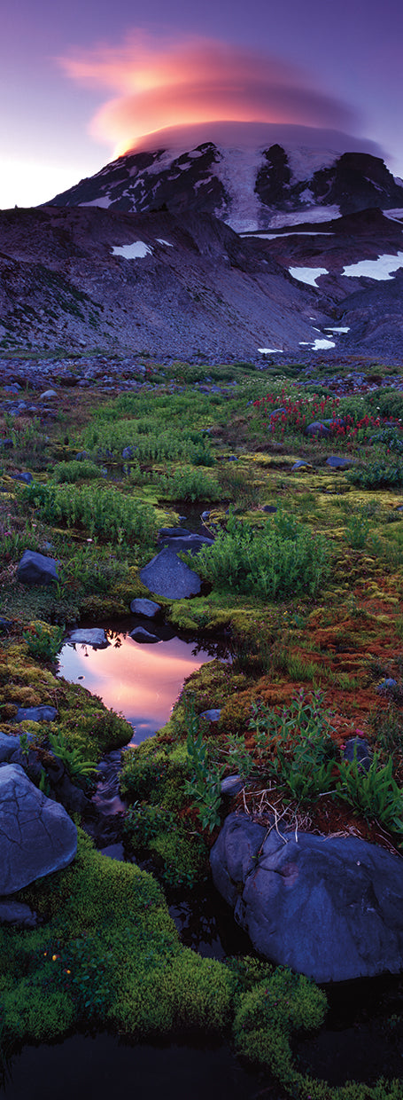 Mount Rainier in Clouds