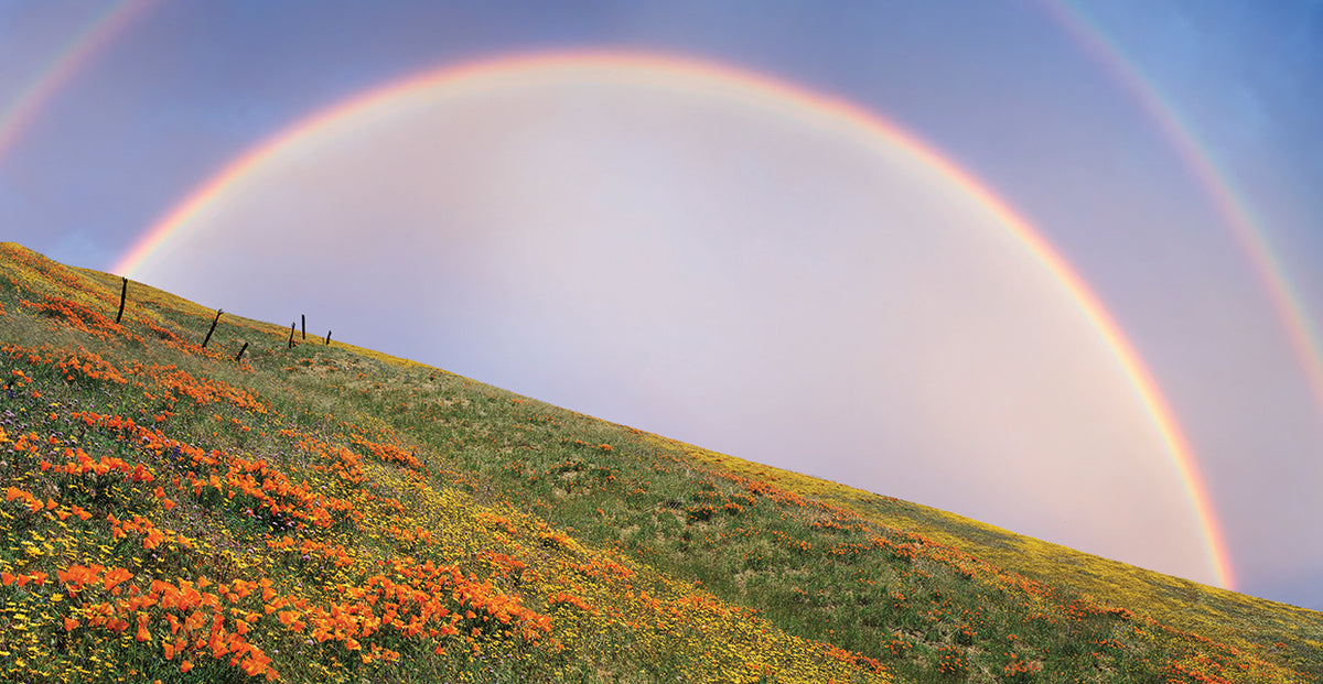 Rainbow over Gorman, CA