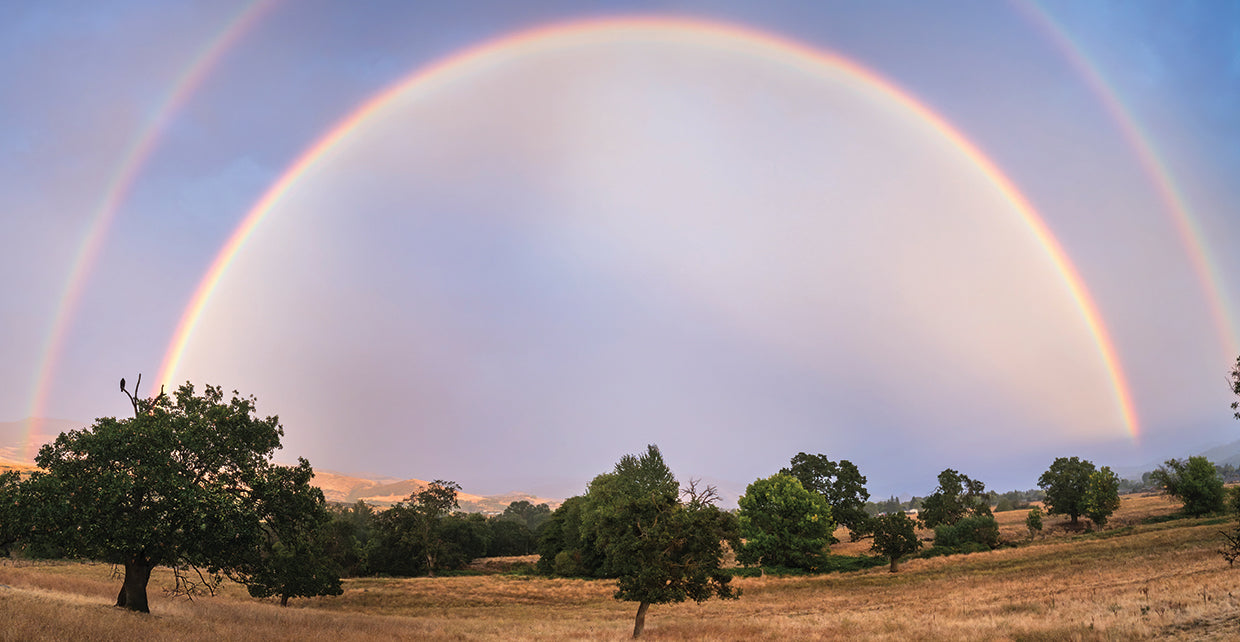 Rainbow over Oregon
