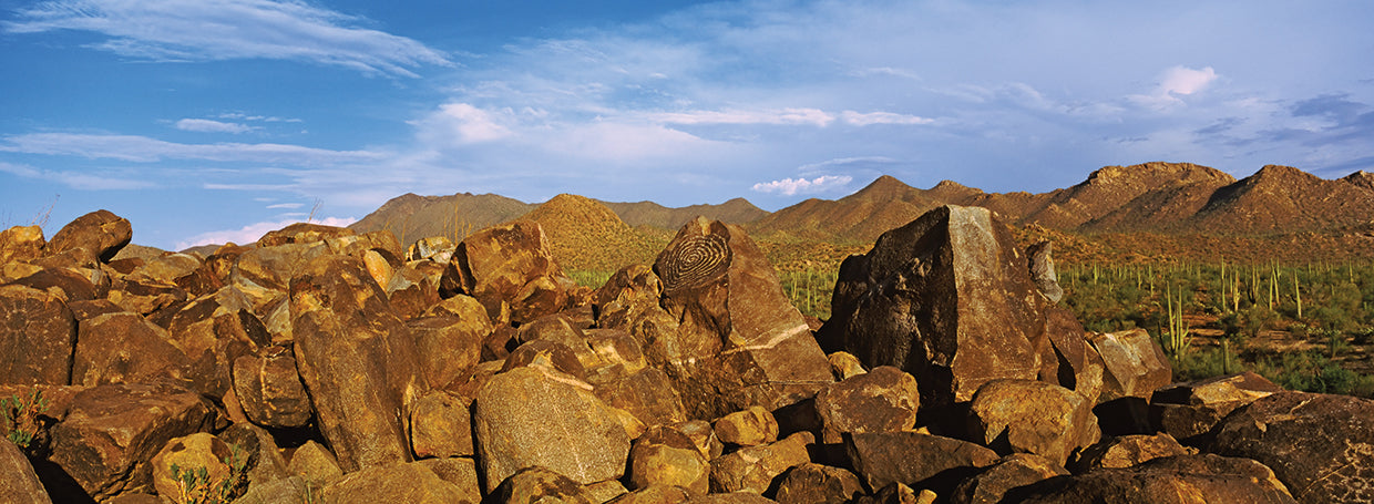Signal Hill with Petroglyphs