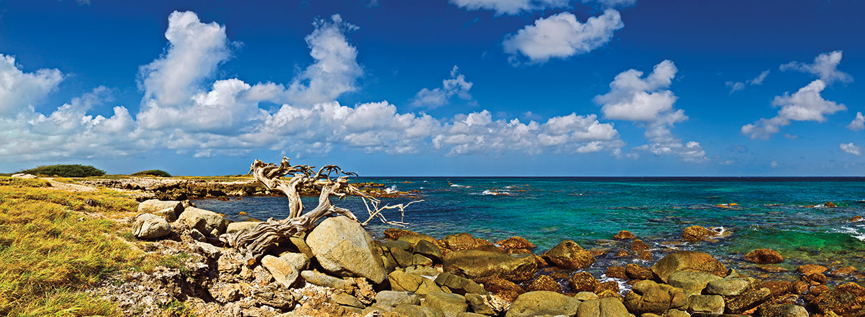 Rocas costeras en Aruba Lienzo