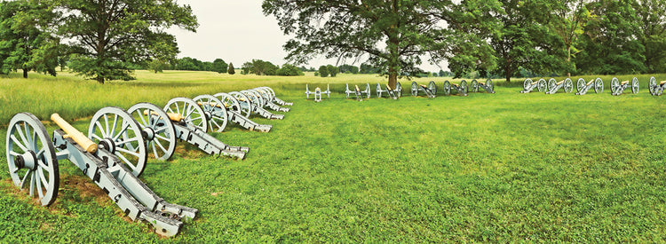 Valley Forge Cannons