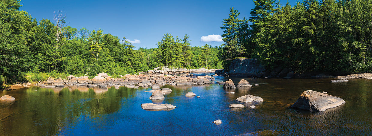 Moose River