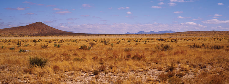 Big Bend National Park