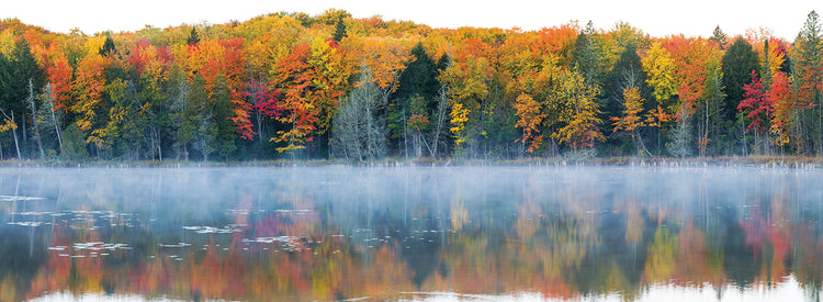 Autumn in Lake Hiawatha