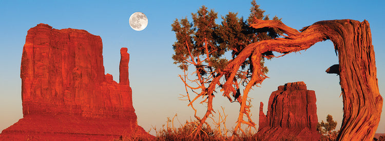 Monument Valley Tribal Park
