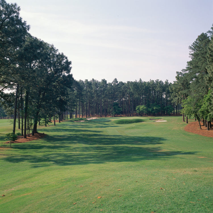 Hoyo 17 en Pinehurst Lienzo