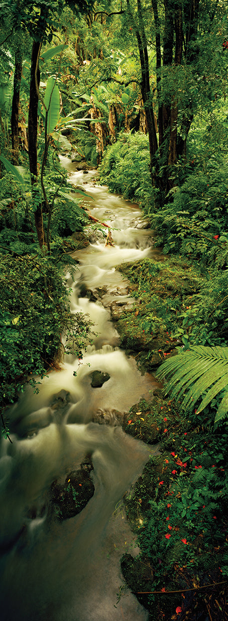 Creek on Big Island