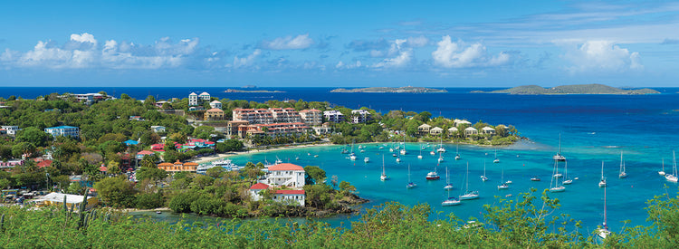 Barcos en Cruz Bay Lienzo