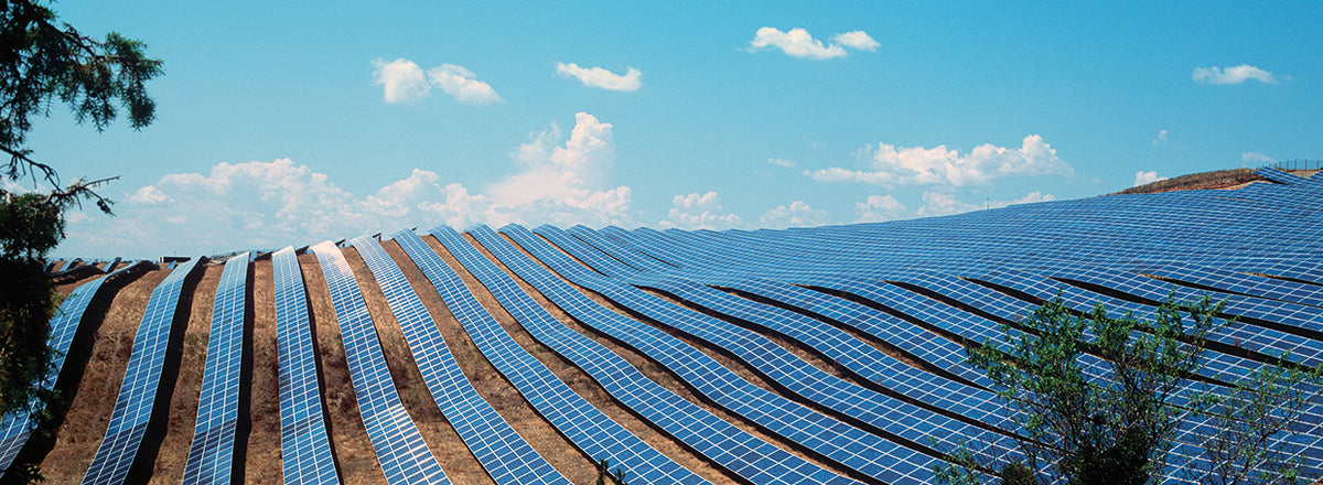 French Solar Panels