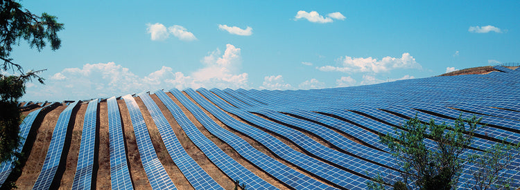 Paneles solares franceses Lienzo