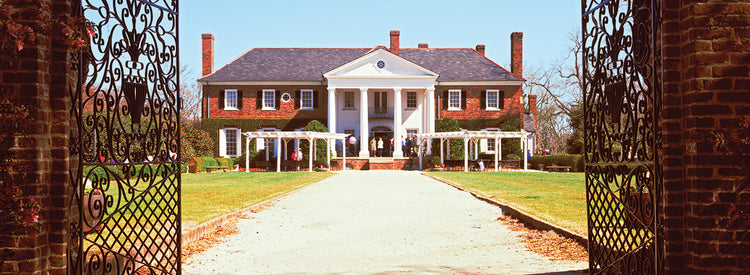 Entrada a la plantación Boone Hall Lienzo