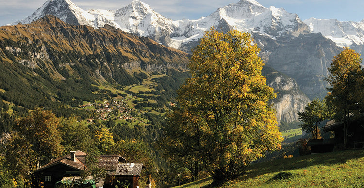 Valle de Lauterbrunnen Lienzo