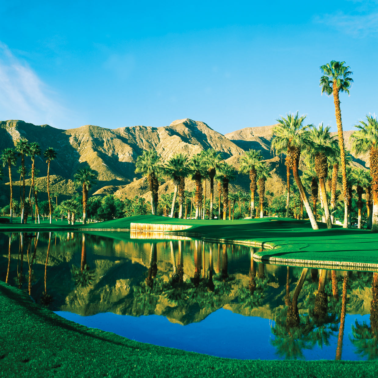 Thunderbird County Club Reflection