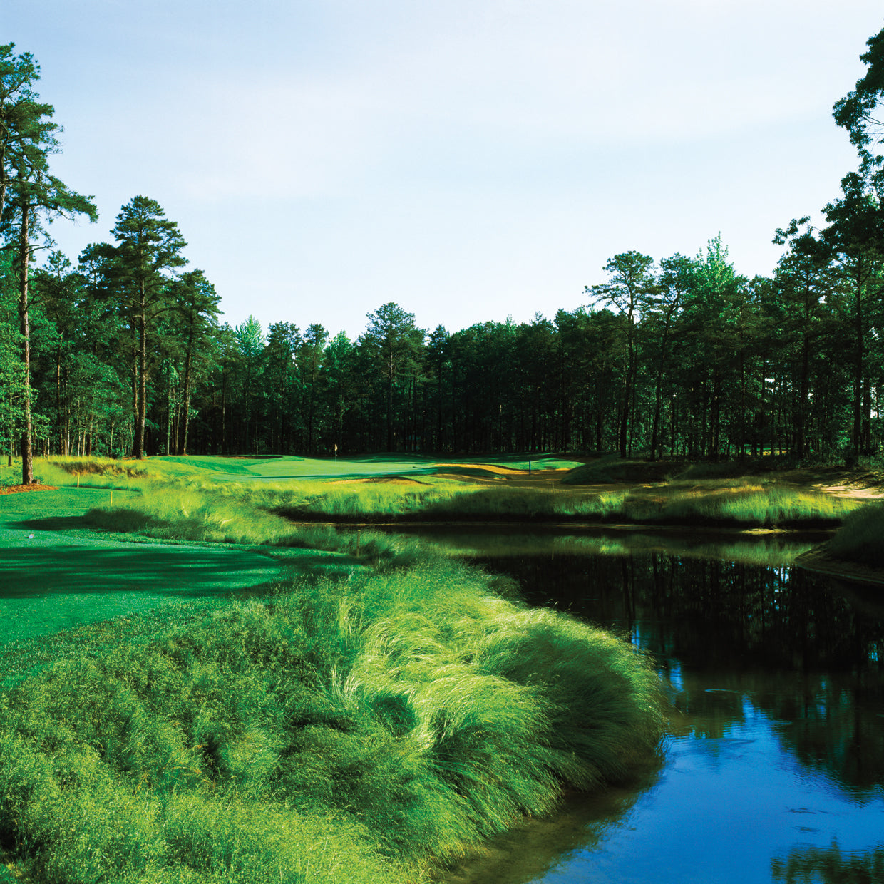 Sand Barrens Golf Club