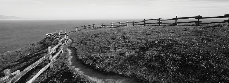Fence at Point Reyes