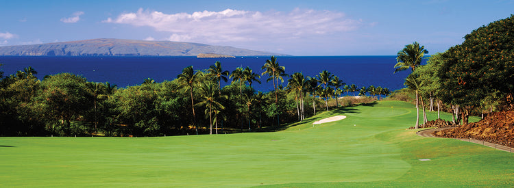 Club de golf Wailea Lienzo