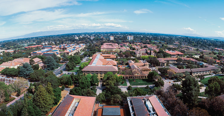 Universidad de Stanford Lienzo