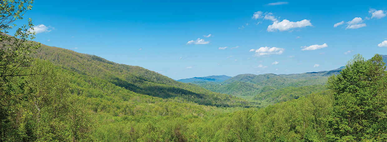 Great Smoky Mountains