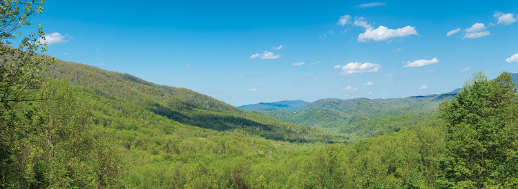 Great Smoky Mountains