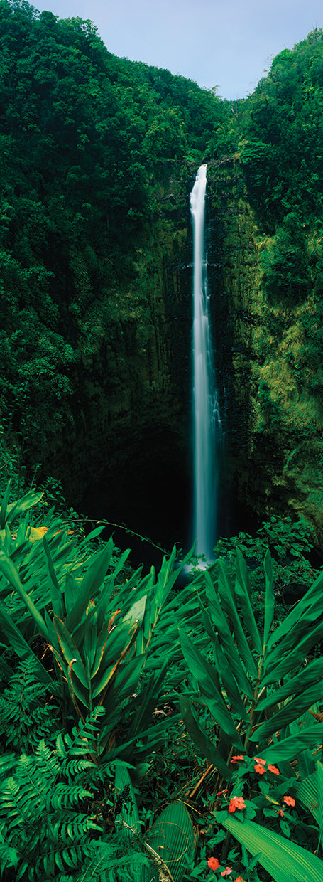 Akaka Falls State Park