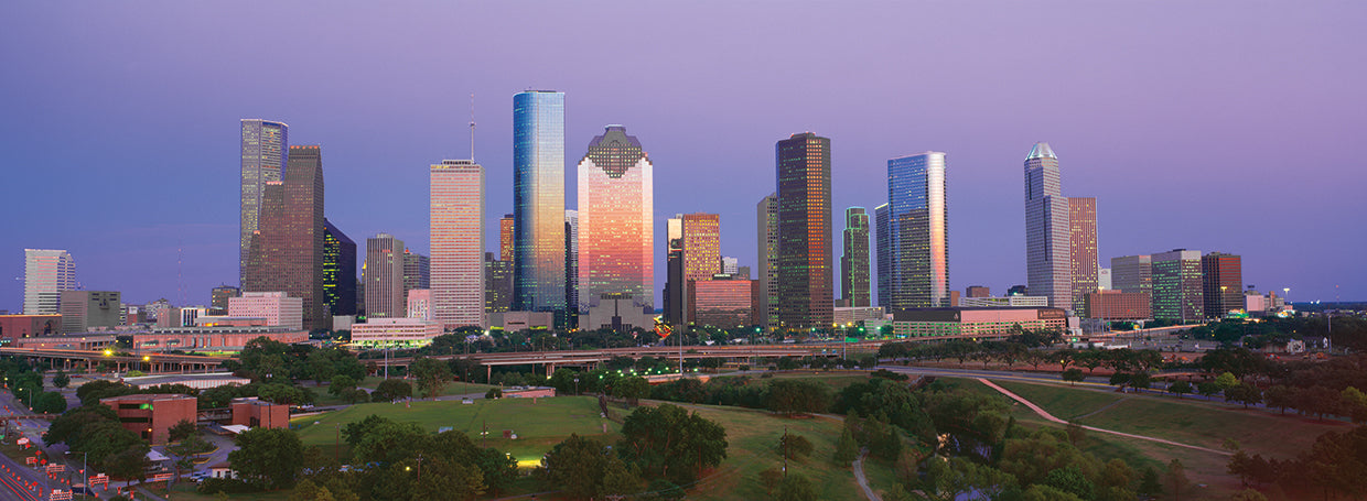 Houston Skyline