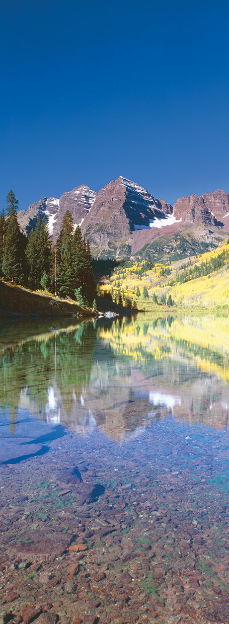 Morning Light in Aspen